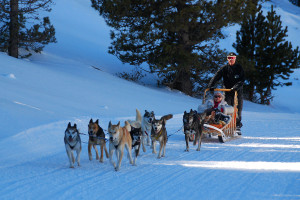 7-Andorre-mushing