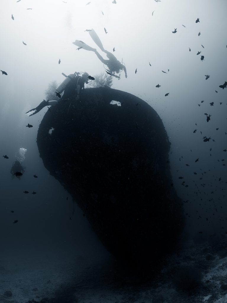 Plongée sur une petite épave / Dive on a small shipwreck