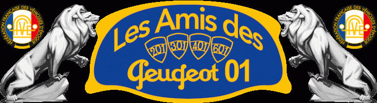 Amis01