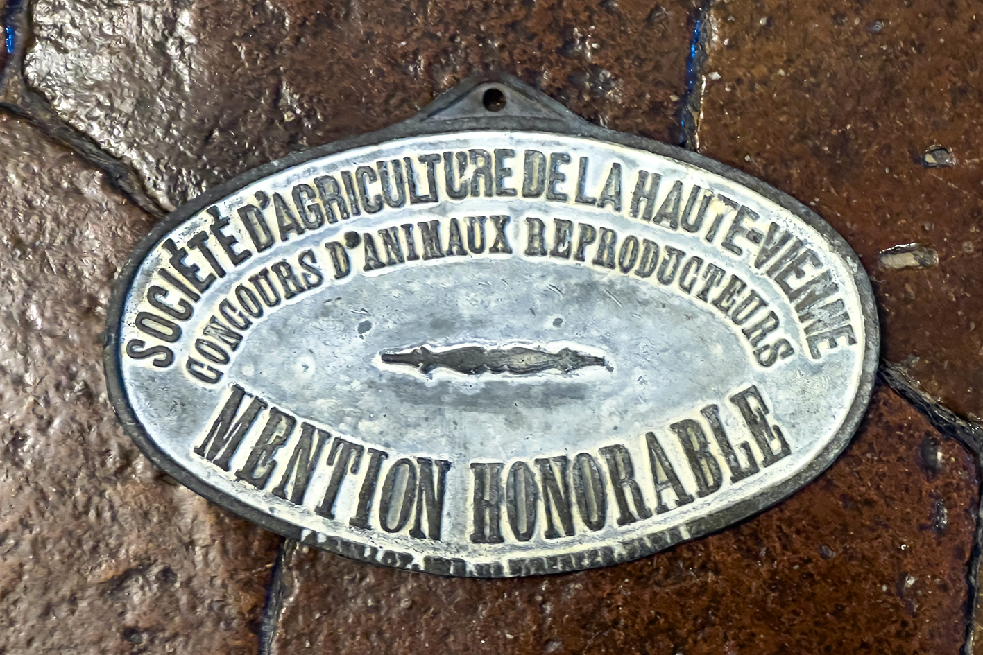 4-20260616-2443 copy